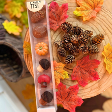 Cargar imagen en el visor de la galería, Praliné Halloween & Otoño | Pack de 6 unidades