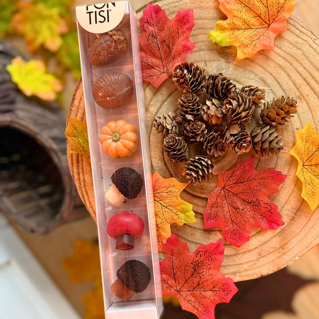 Praliné Halloween & Otoño | Pack de 6 unidades